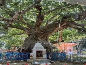 कुंतेश्वर धाम