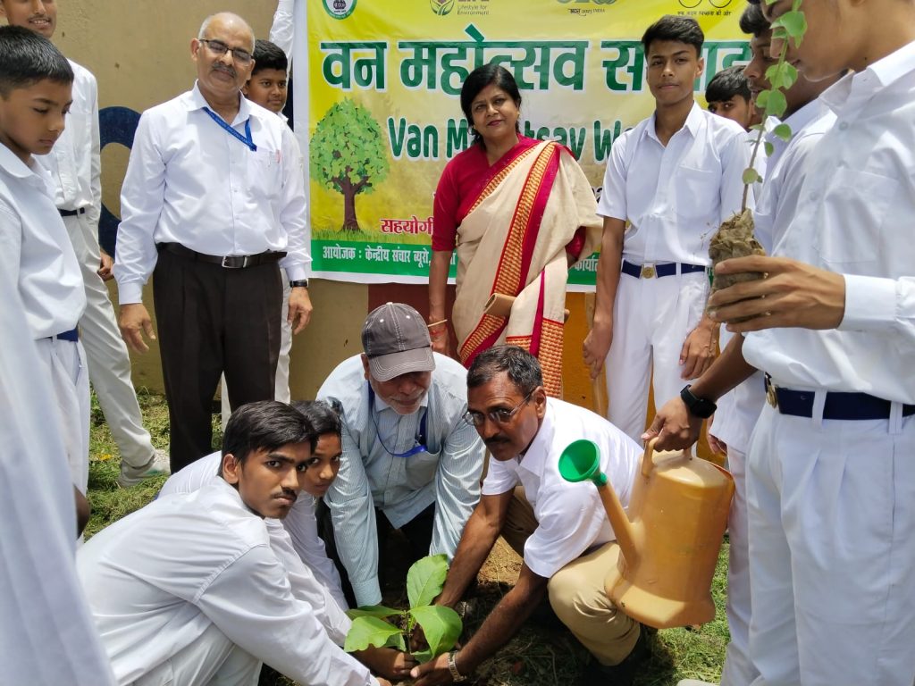 tree planting