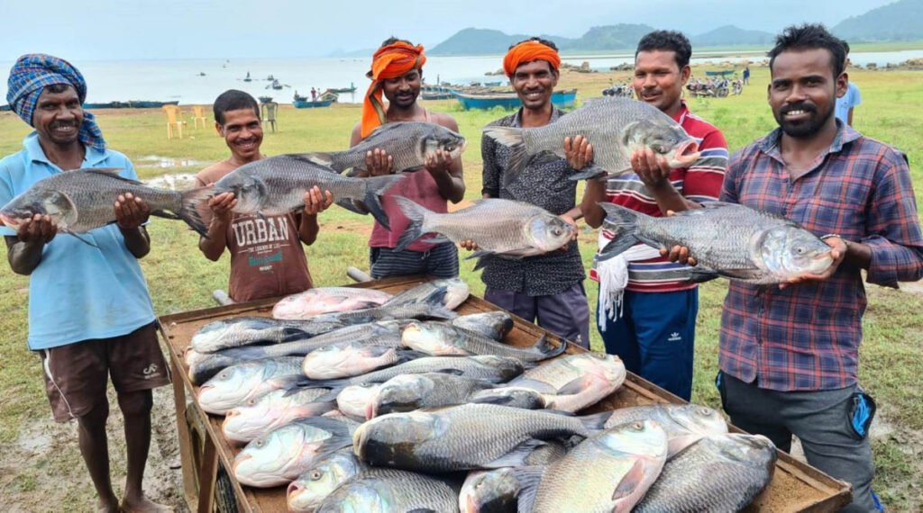 मत्स्य उत्पादन