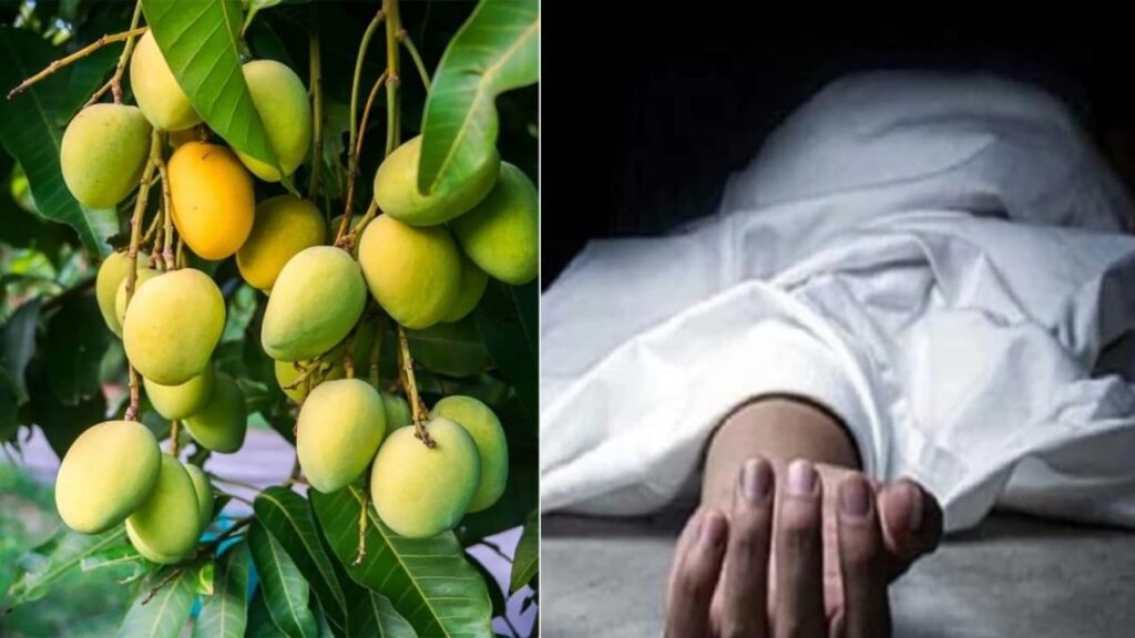 आम तोड़ने के विवाद में 2 सगे भाइयों में मारपीट, छोटे भाई की मौत