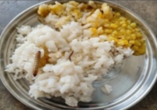 बनामगुटू स्कूल में मिड डे मील में निकला कीड़ा, बच्चों ने भोजन छोड़ किया विरोध