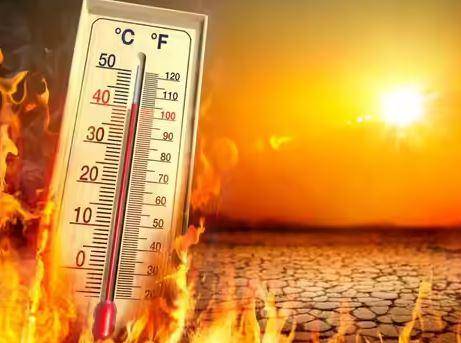 झारखंड में मानसून सुस्त, 24 जून तक 58 प्रतिशत कम बारिश